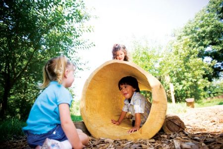 Arbor Day Festival Salutes Trees Image